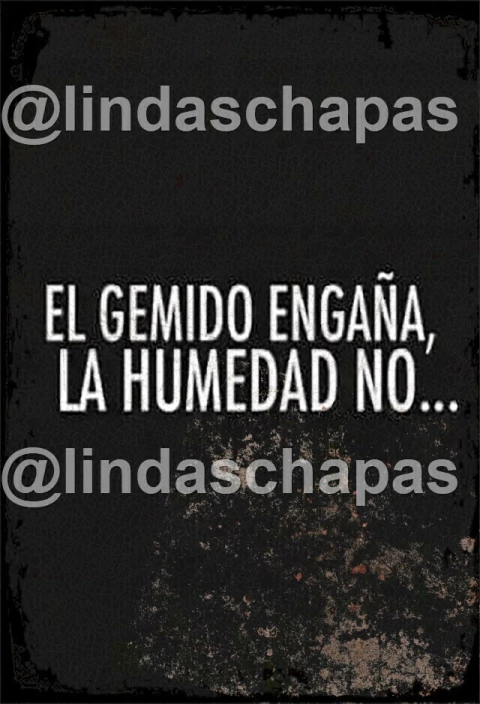 Frases / Carteles