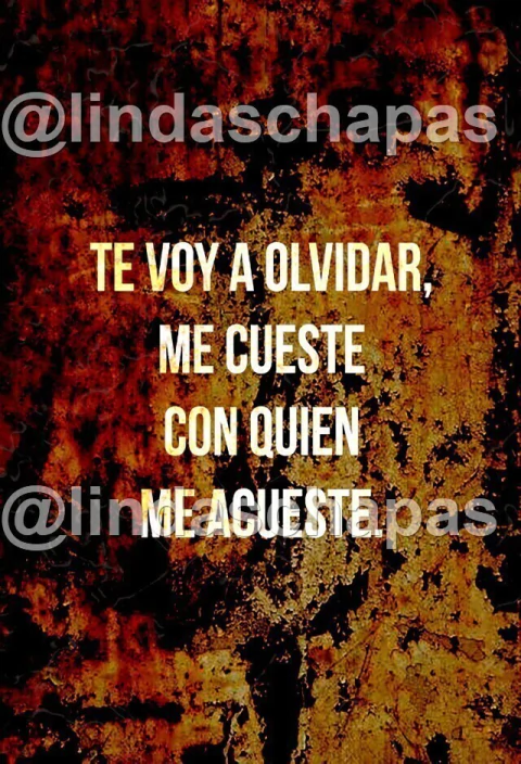 Frases / Carteles