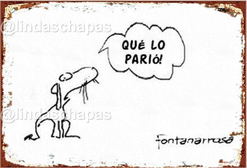 Frases / Carteles
