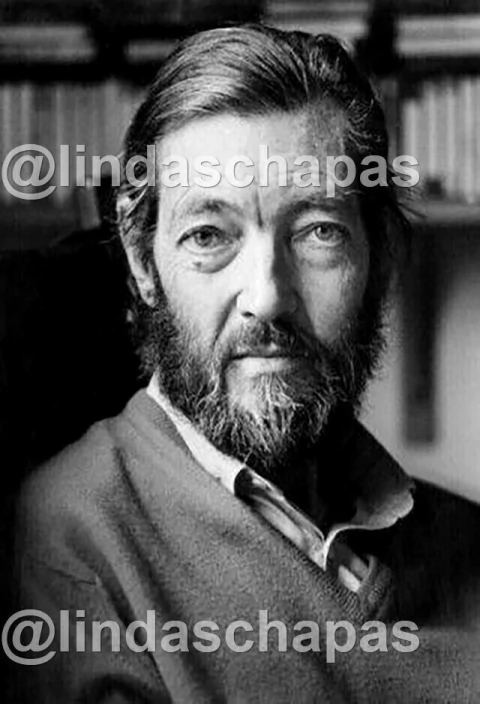 Politica / Escritores