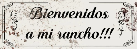 Profesiones / Carteles